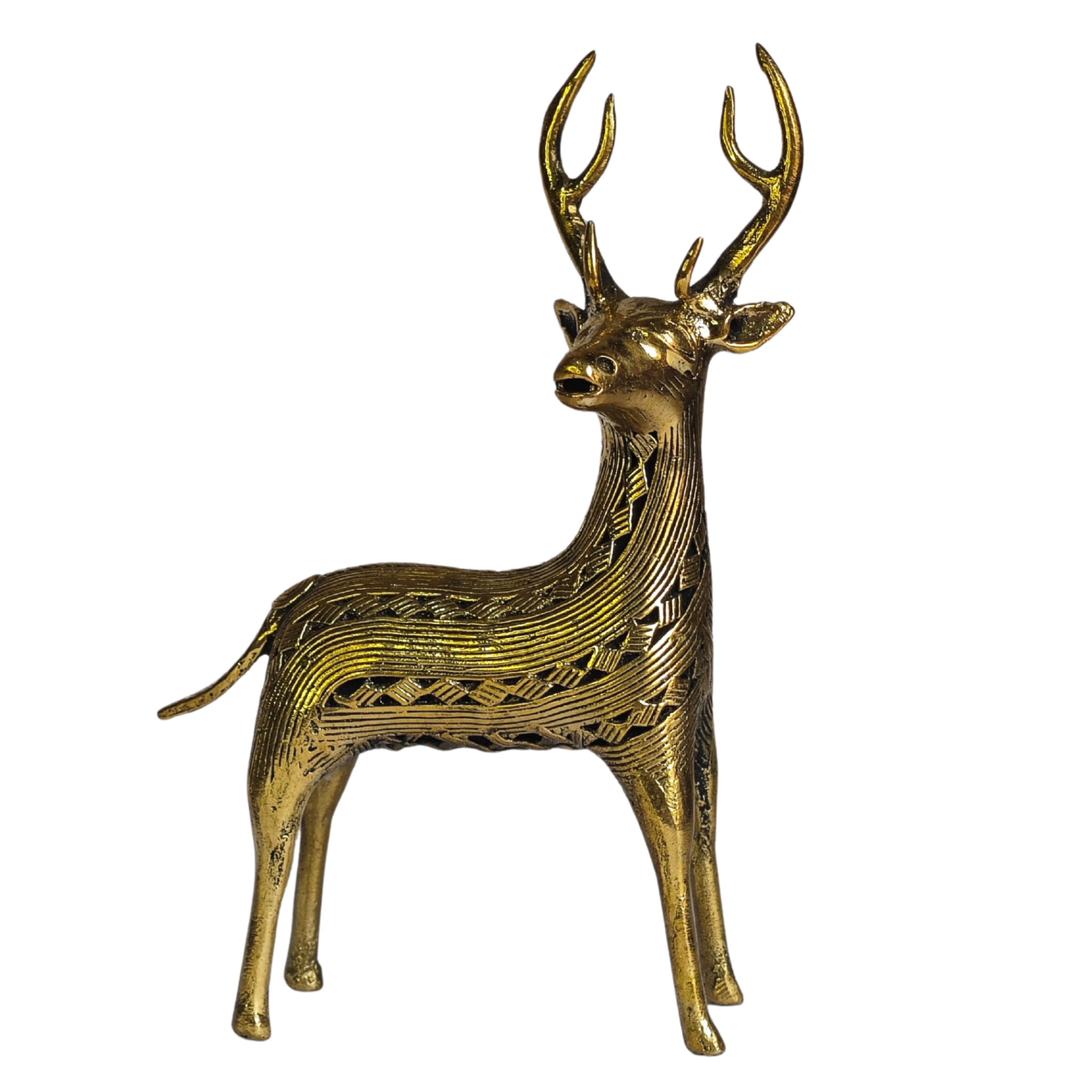 Dhokra Swamp Deer