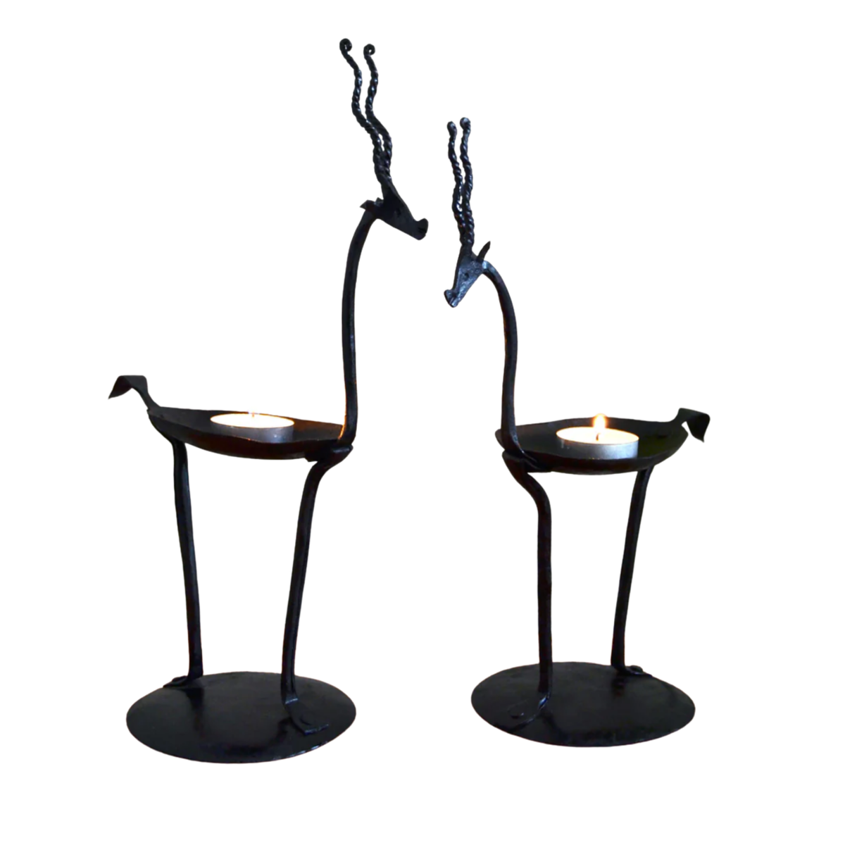 Wrought Iron Bird Candle Holder – Bastar Arts