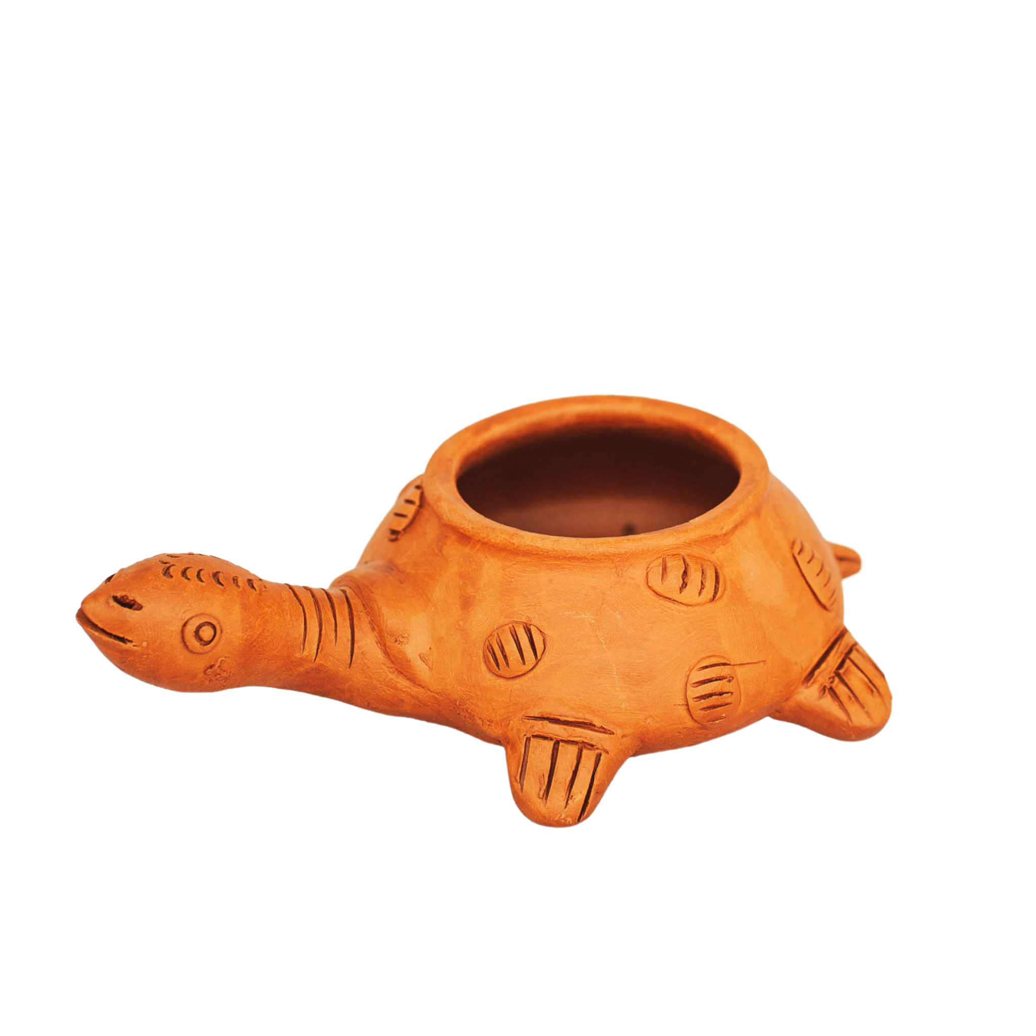 Terracotta Turtle
