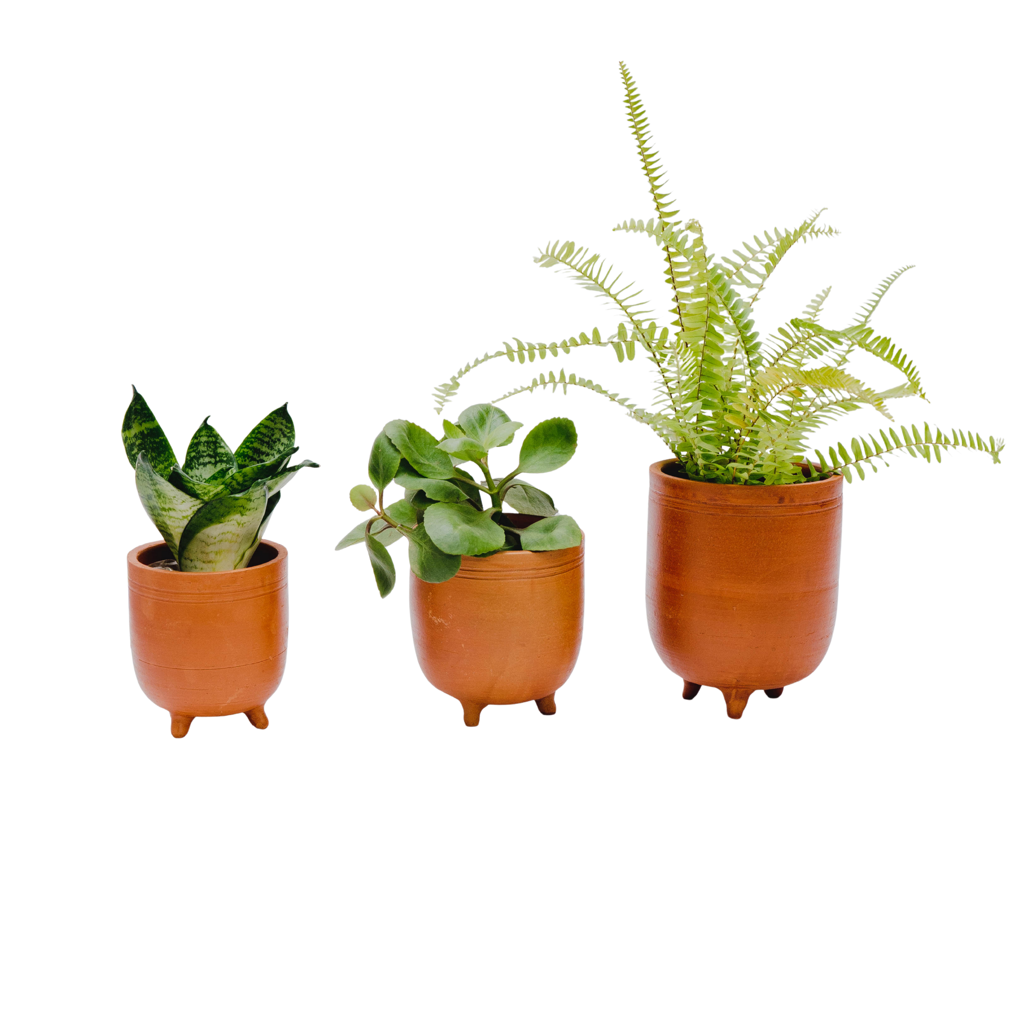 Terracotta Planter