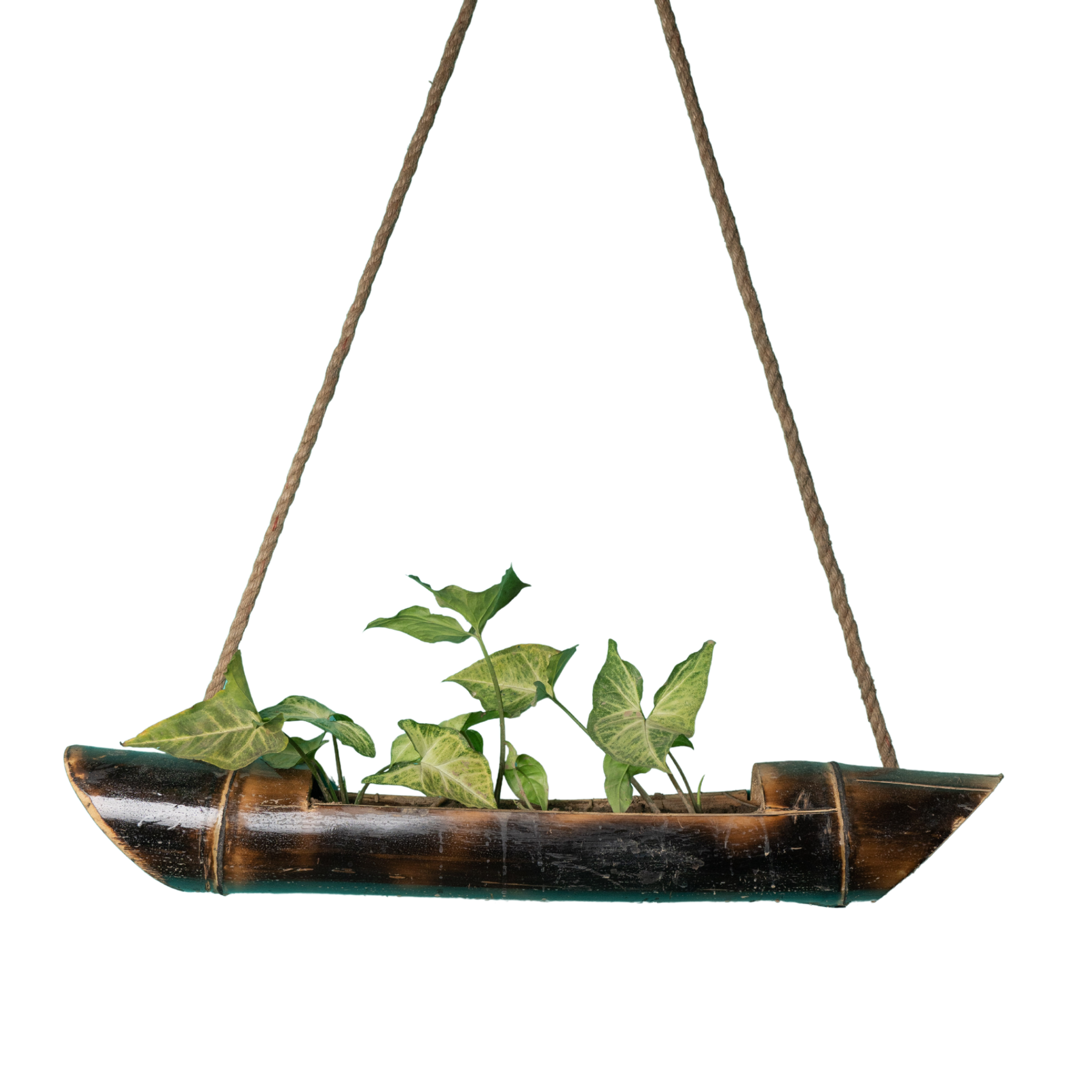 Bamboo Planter