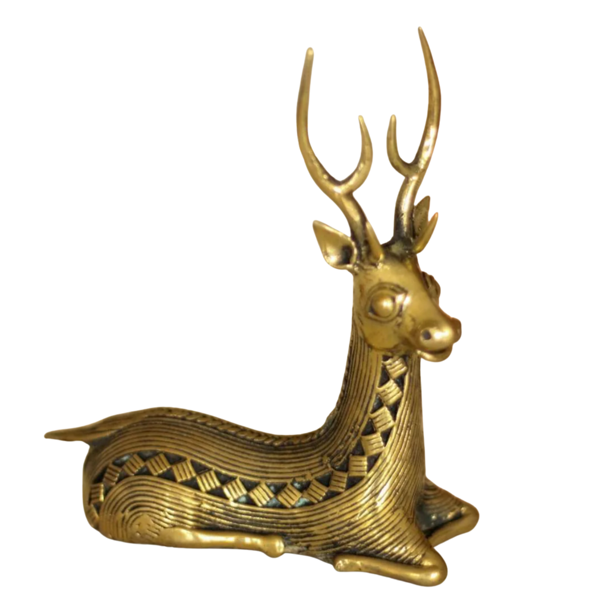 Dhokra Swamp Deer