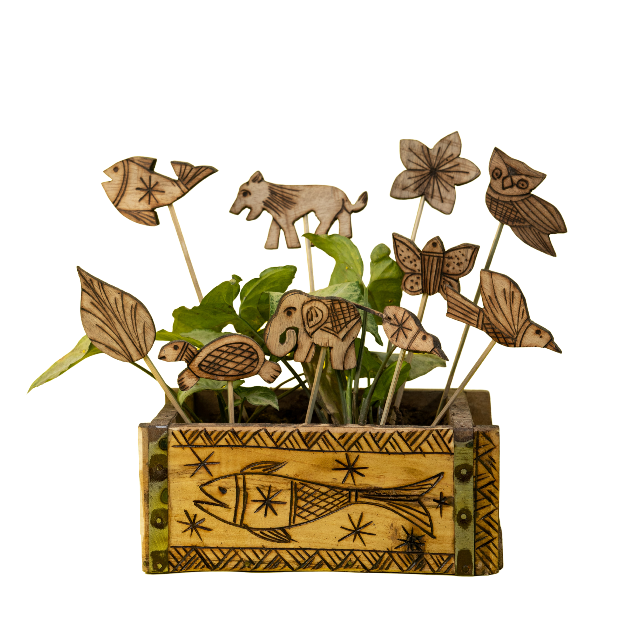 Bamboo Planter