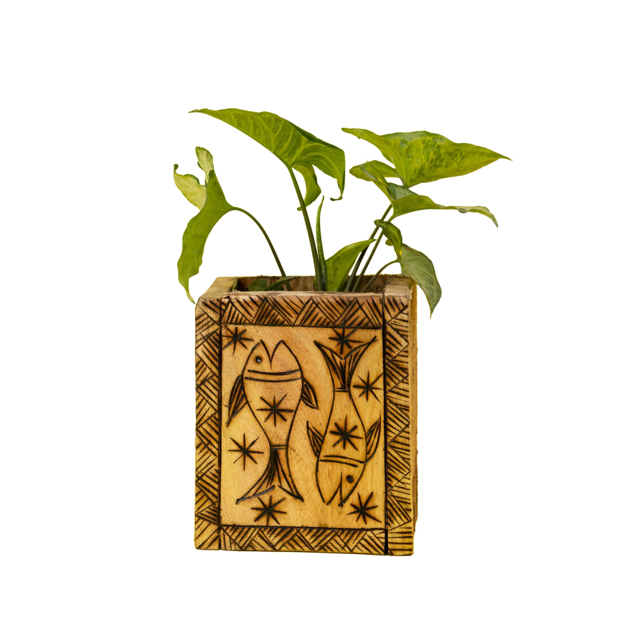 Bamboo Planter