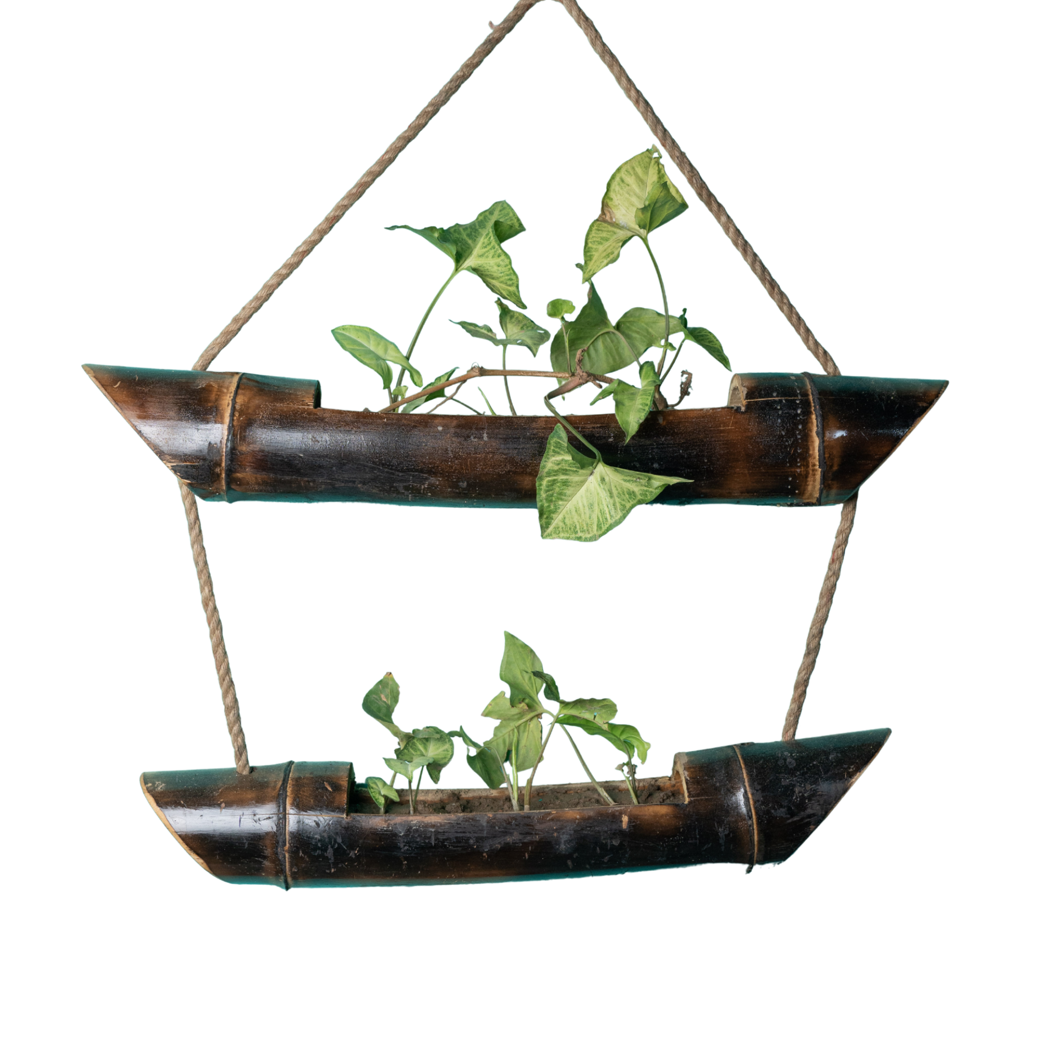 Bamboo Planters