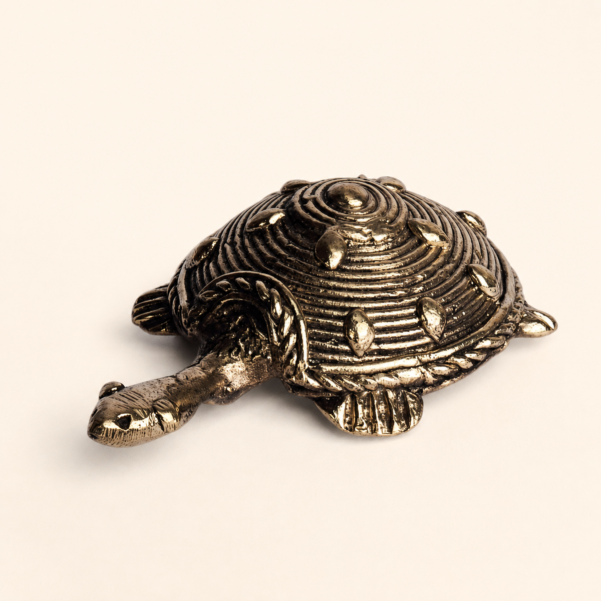 Dhokra tortoise paperweight on a warm ivory catalogue background